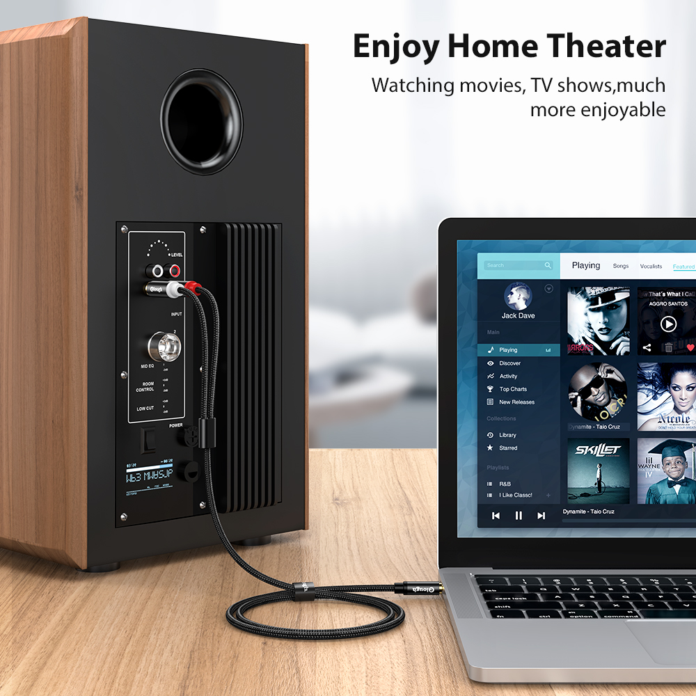 Elough RCA Cable AUX RCA Speak - Home Cinema Heos recensie en prijs