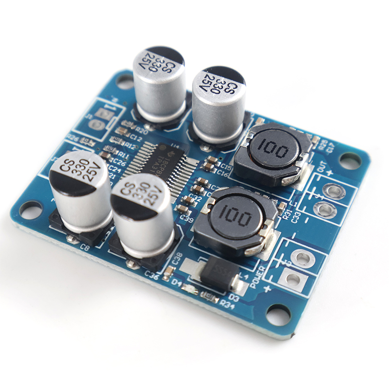 TPA3118 60W Mono Class D Digit - Home Cinema Heos recensie en prijs