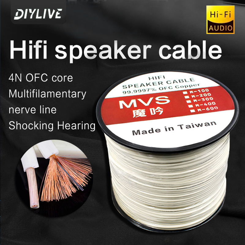 DIYLIVE HiFi Speaker Line for  - Home Cinema Couch recensie en prijs