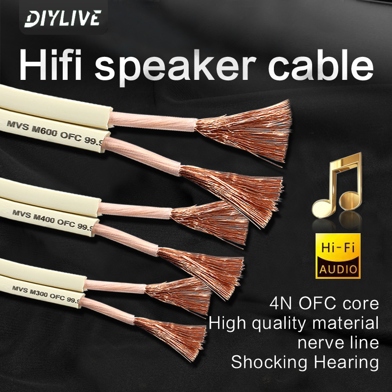 DIYLIVE HiFi Speaker Line for  - Home Cinema Couch recensie en prijs