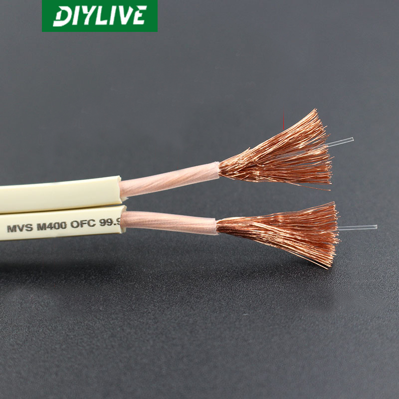 DIYLIVE HiFi Speaker Line for  - Home Cinema Couch recensie en prijs